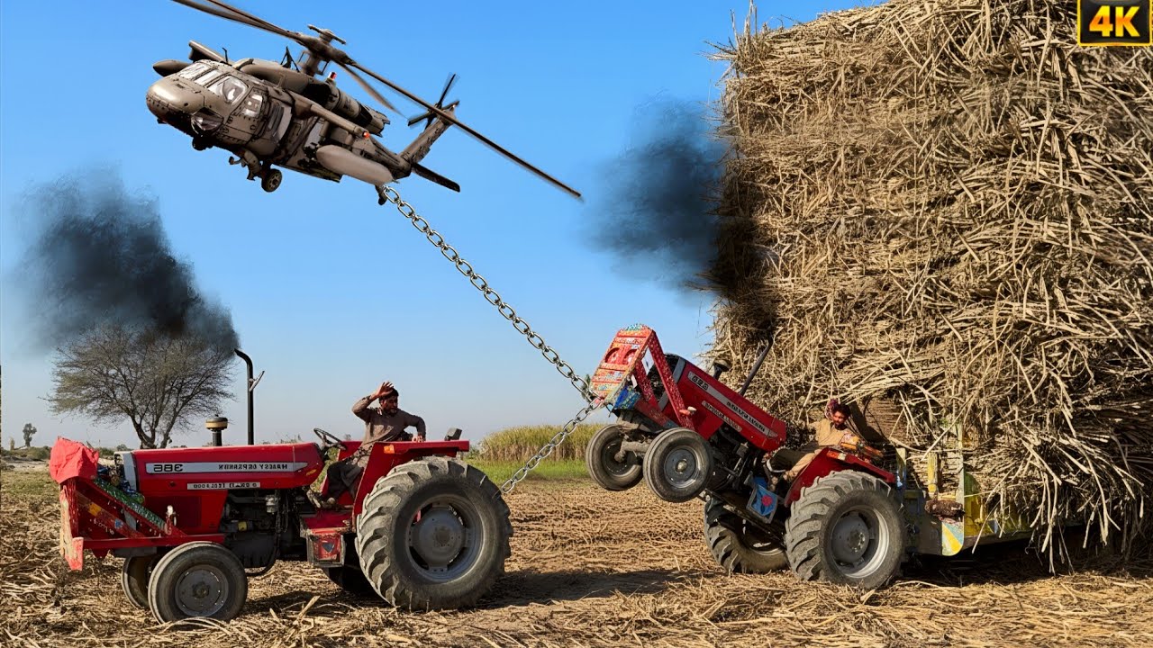 MF 385 Tractor Extreme Power test 💪 | Tractors Struggled to Pull the Sugarcane Trolley | 4K Ultra HD
