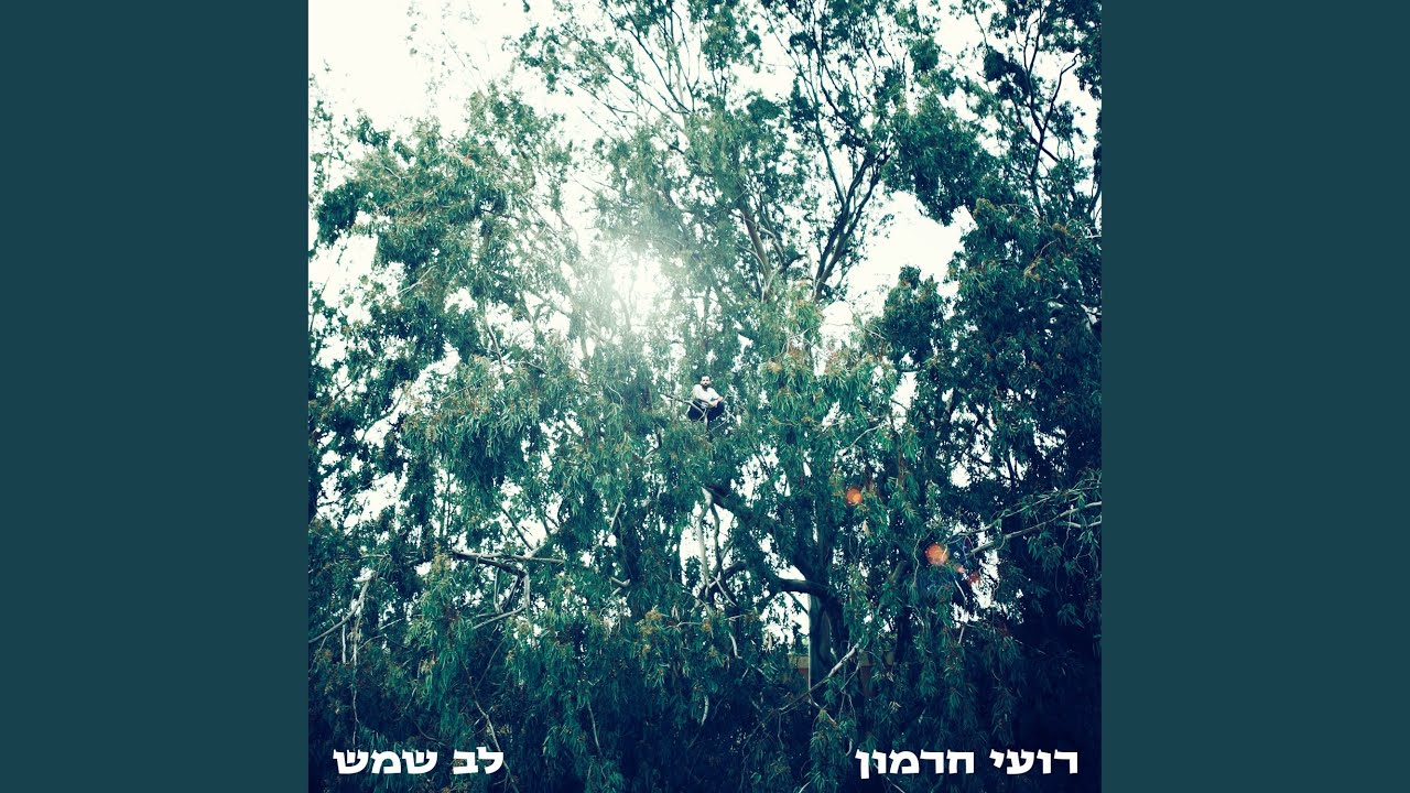 עולות במדרגות