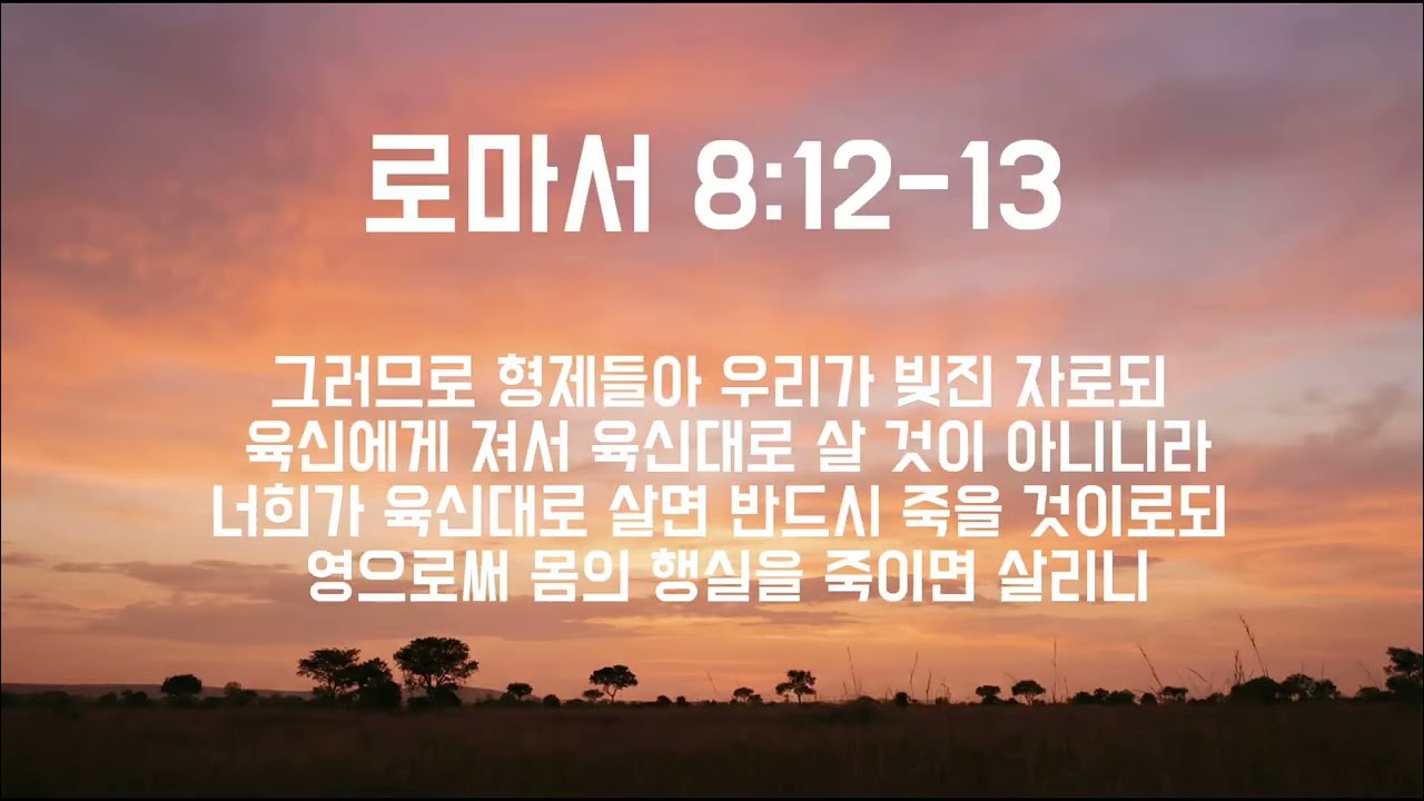 로마서 8:12-13