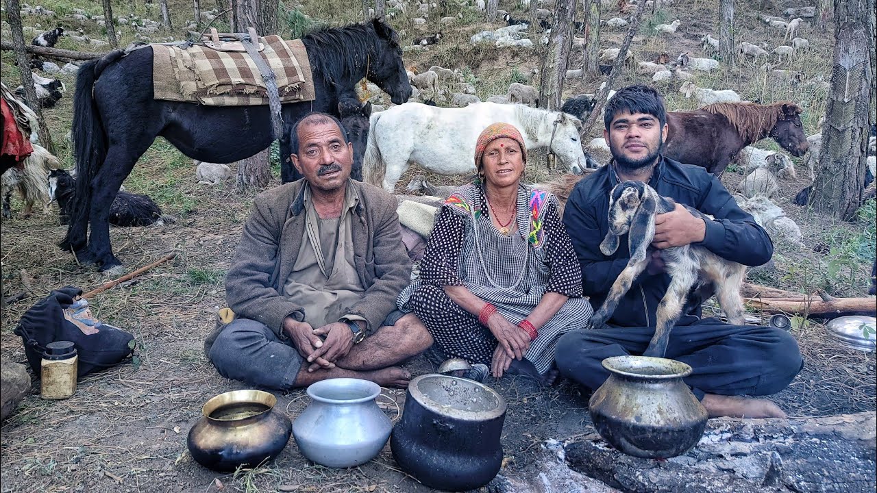 1000 भेड़-बकरियां, 9 घोड़े और 4 कुत्तों के साथ प्रवास करते गद्दी भेड़पालक