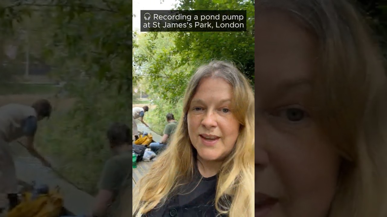 Water pump (sonic pollution?!) - St James Park #fieldrecording #soundartist  #womeninsound
