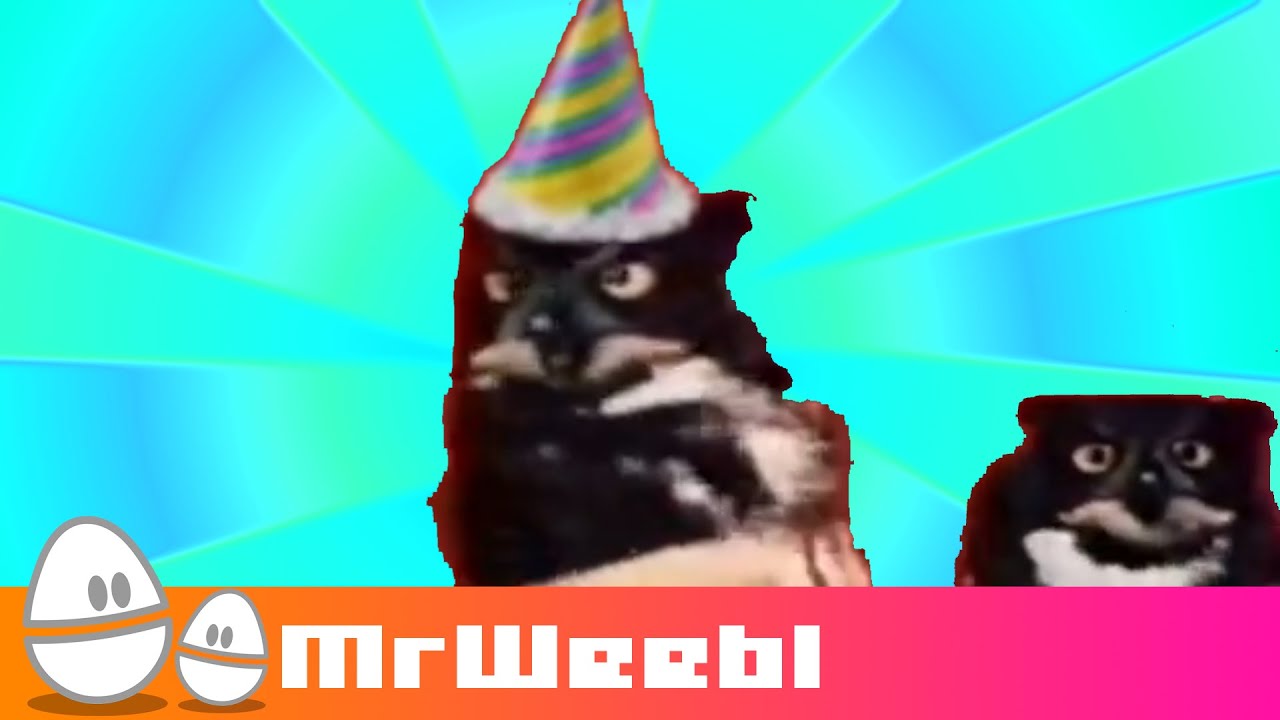 Rotate Your Owl : animated music video : MrWeebl