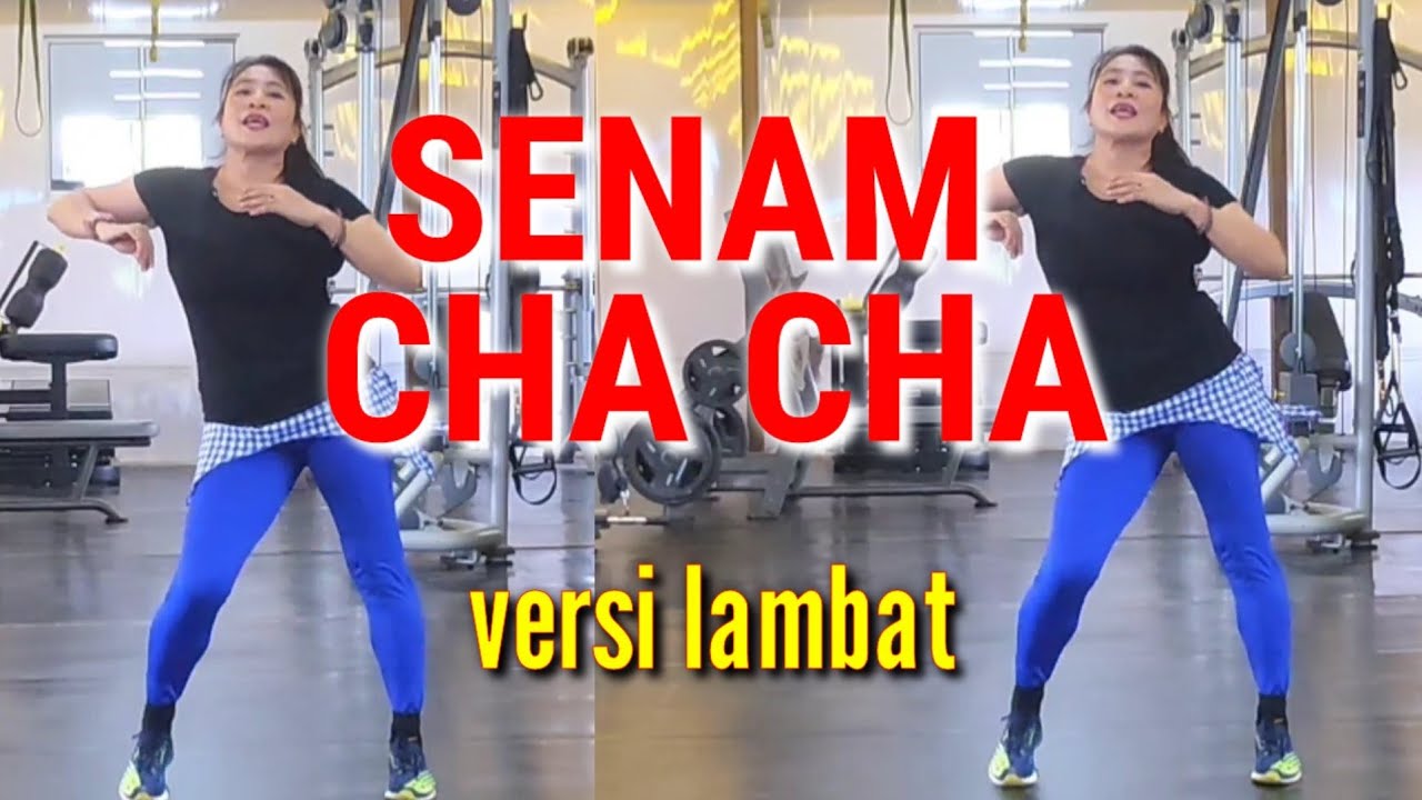 SENAM CHA CHA versi LAMBAT #tinydance #aerobikchacha #senamchacha #aerobikchacha
