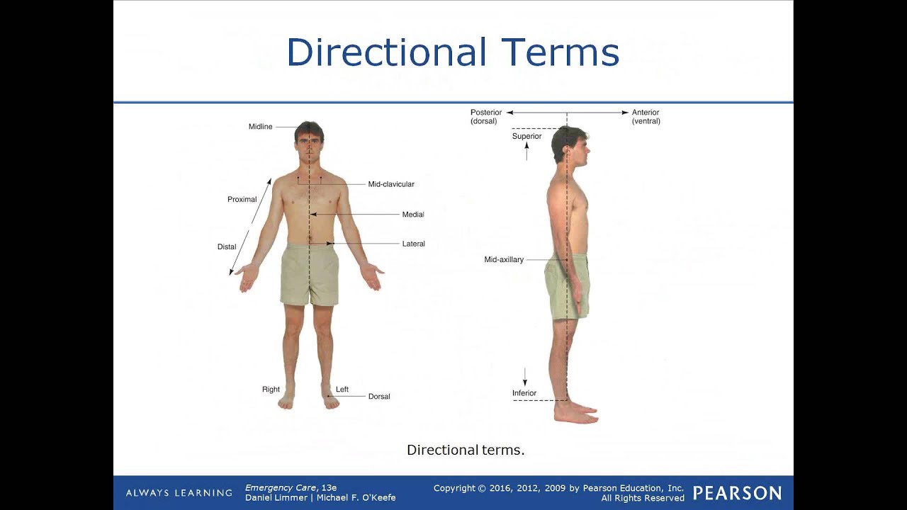 Medical Terminology for the EMT