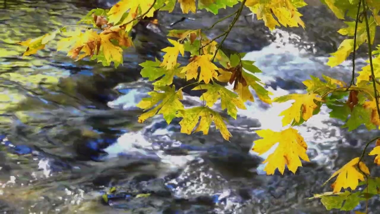 Herbst Entspannung