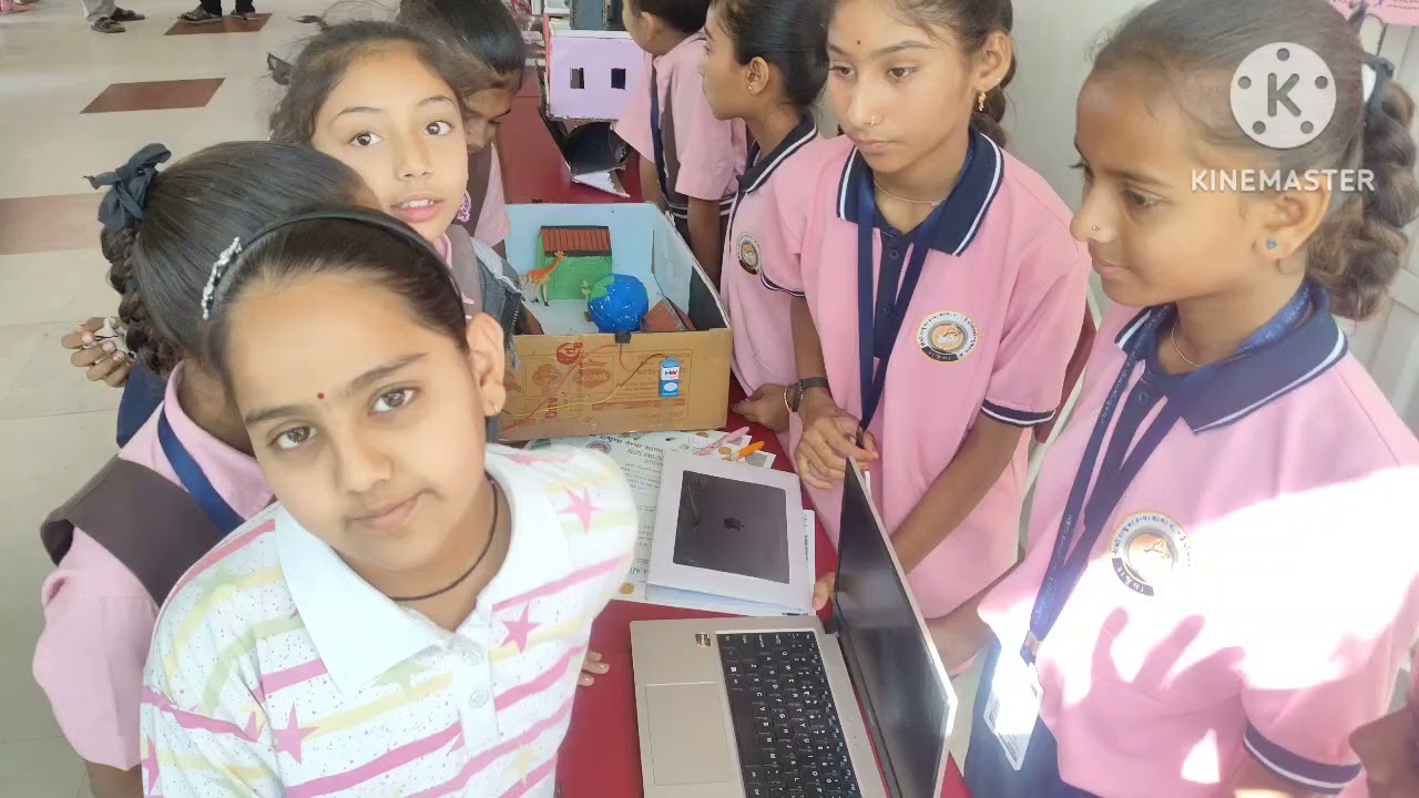 Science Fair School Level