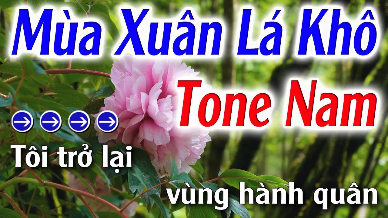 Mùa Xuân Lá Khô Karaoke Tone Nam ( Am ) Đăng Khôi Karaoke - Beat Chuẩn Dễ Hát