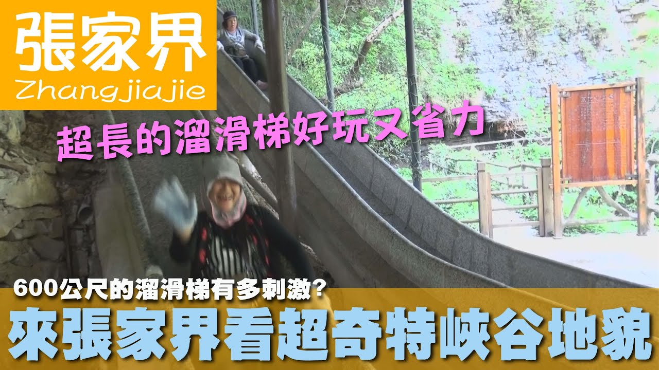 【張家界 Zhangjiajie】600公尺的溜滑梯有多刺激?來張家界看超奇特峽谷地貌｜沱江｜鳳凰古城｜中國
