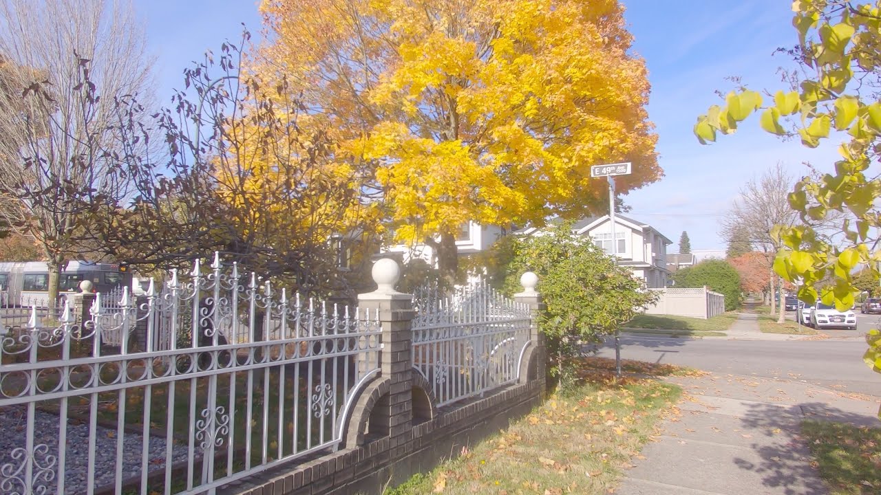Walking in Vancouver City - British Columbia Canada. Victoria-Fraserview Area. Residential Area.