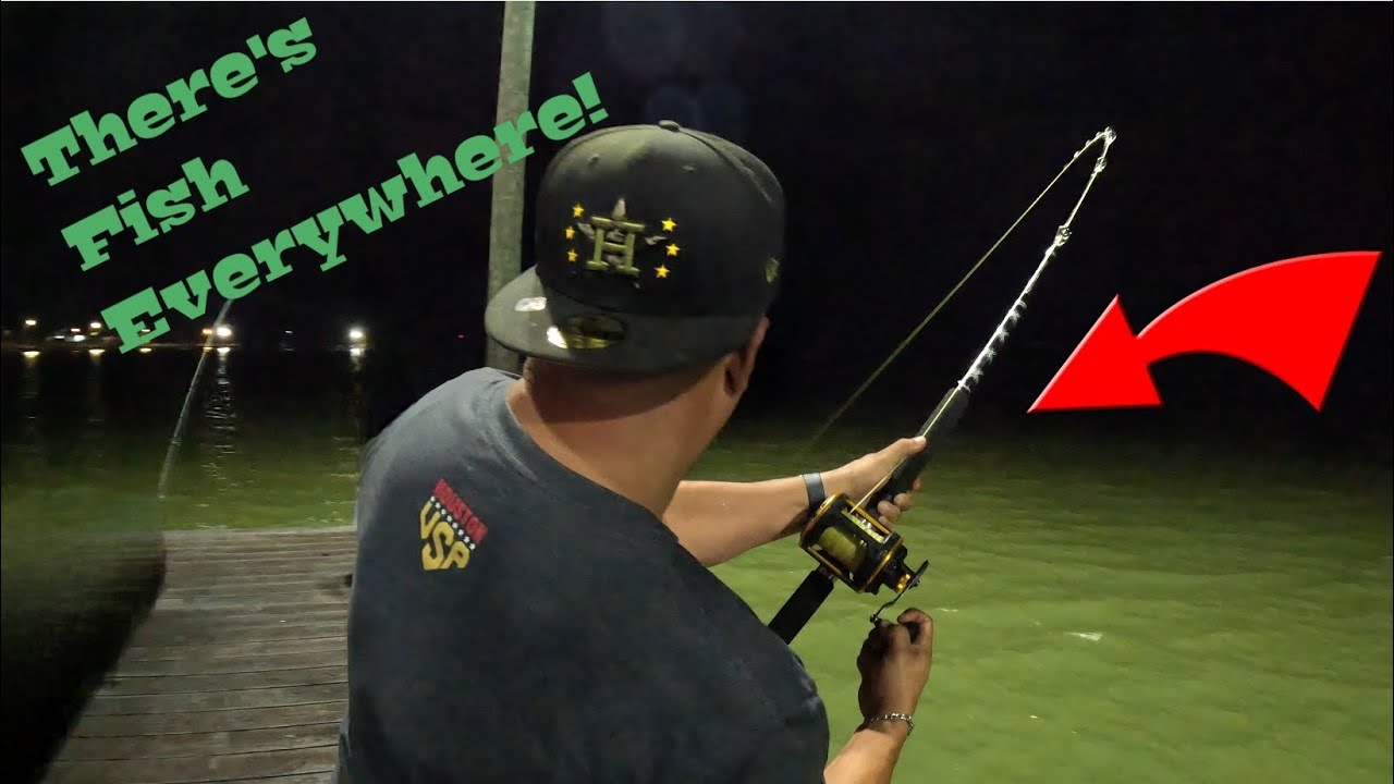 Trout, Drum, and Chaos on the Line!