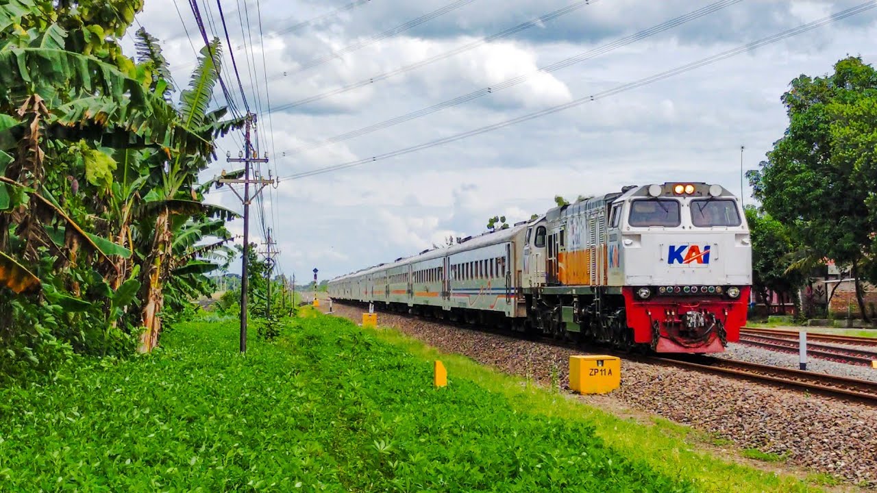 CC 206 13 34 CN feat KA RANGGAJATI | Jember - Cirebon Persiapan Melintas Stasiun Walikukun