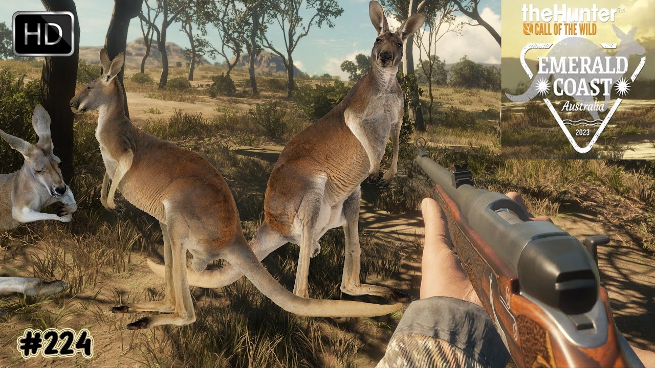 THEHUNTER CALL OF THE WILD CHASSE DU KANGOUROU #224 SUR LA MAP - EMERALD COAST AUSTRALIA !
