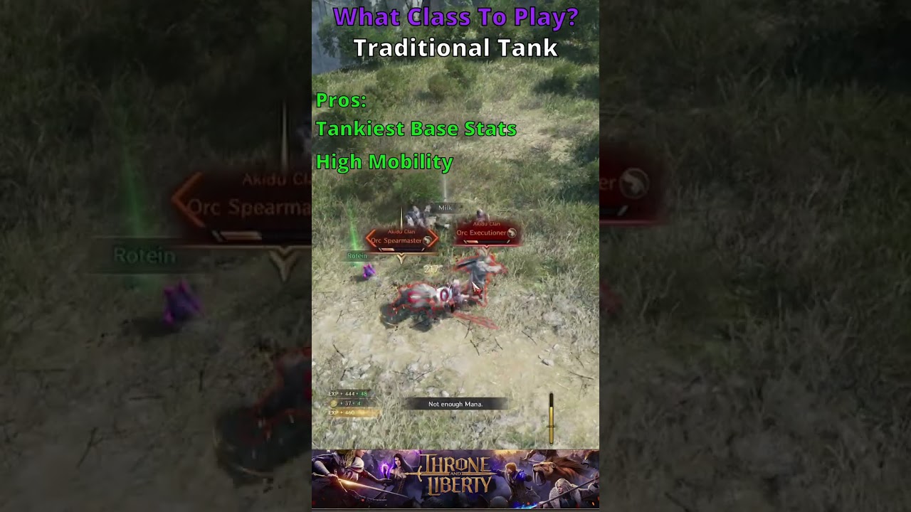 Throne and Liberty: Traditional Tank Build Guide | Sword & Shield + Great Sword