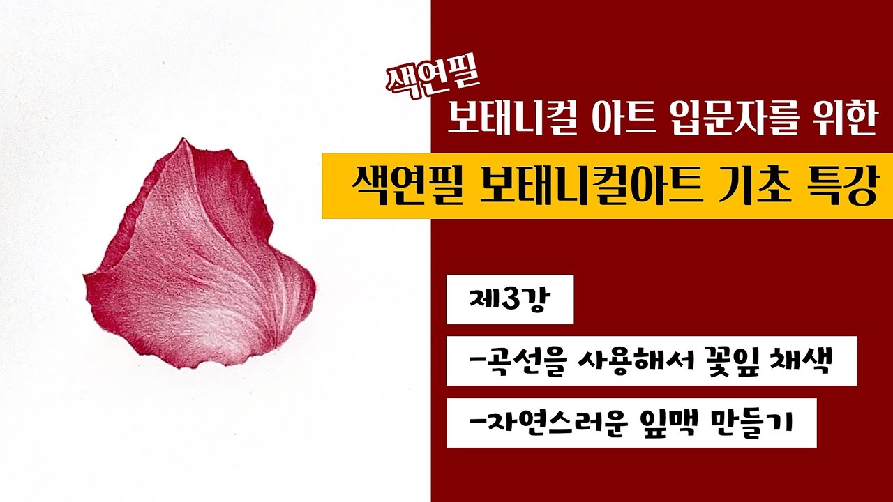 [색연필 보태니컬아트 기초특강 라이브]제3강 곡선을 사용해서 꽃잎 채색/자연스러운 잎맥 만들기