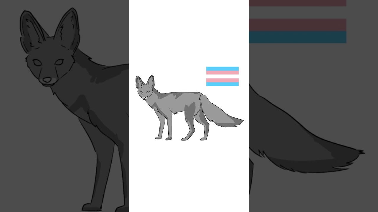 Trans Pale Fox    #pridemonth #speedpaint #foxes #digitalart #queer #pride #lgbt #fox #art