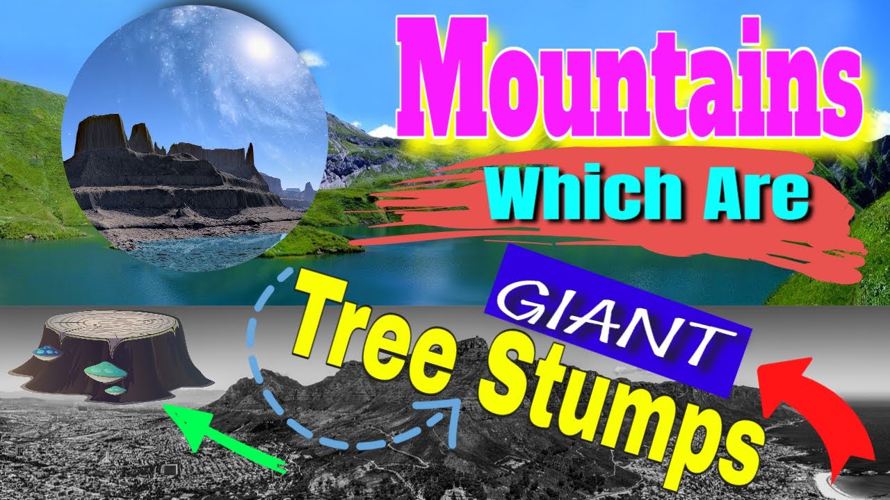 Mountains Which Are Ancient Giant Tree Stumps - Sacred History of The World