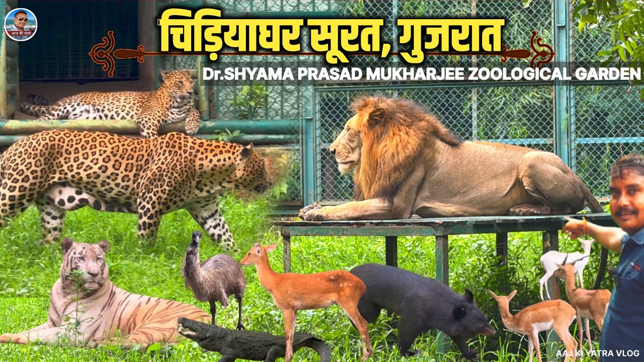 Sarthana Nature Park in Surat || Chidiya Ghar Surat || डॉ.श्यामा प्रसाद बनर्जी जूलॉजिकल गार्डेन सूरत