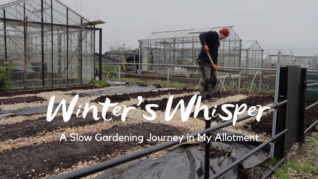 Winter's Whisper: A Slow Gardening Journey in My Allotment