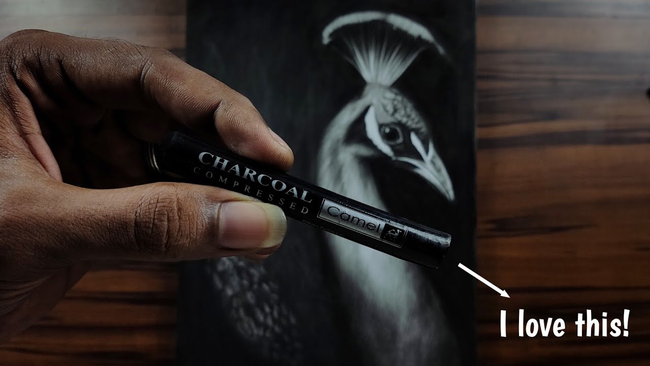 Drawing a peacock within a hour 🤯 | Trying out compressed charcoal sticks and I #love it