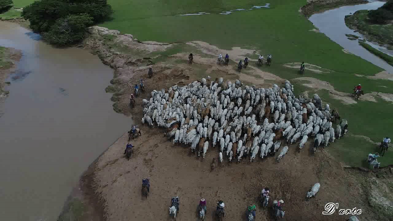 Phantom 4 Pro Trabajo del llano hato de Casanare  mayo 2017