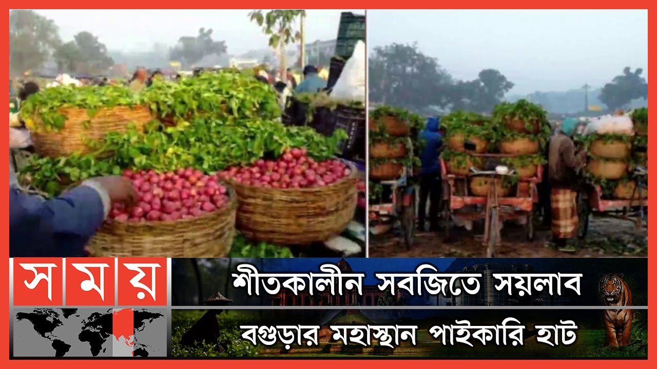 দাম কমেছে শীতকালীন সবজির | Vegetable Market | Bogura | Somoy TV