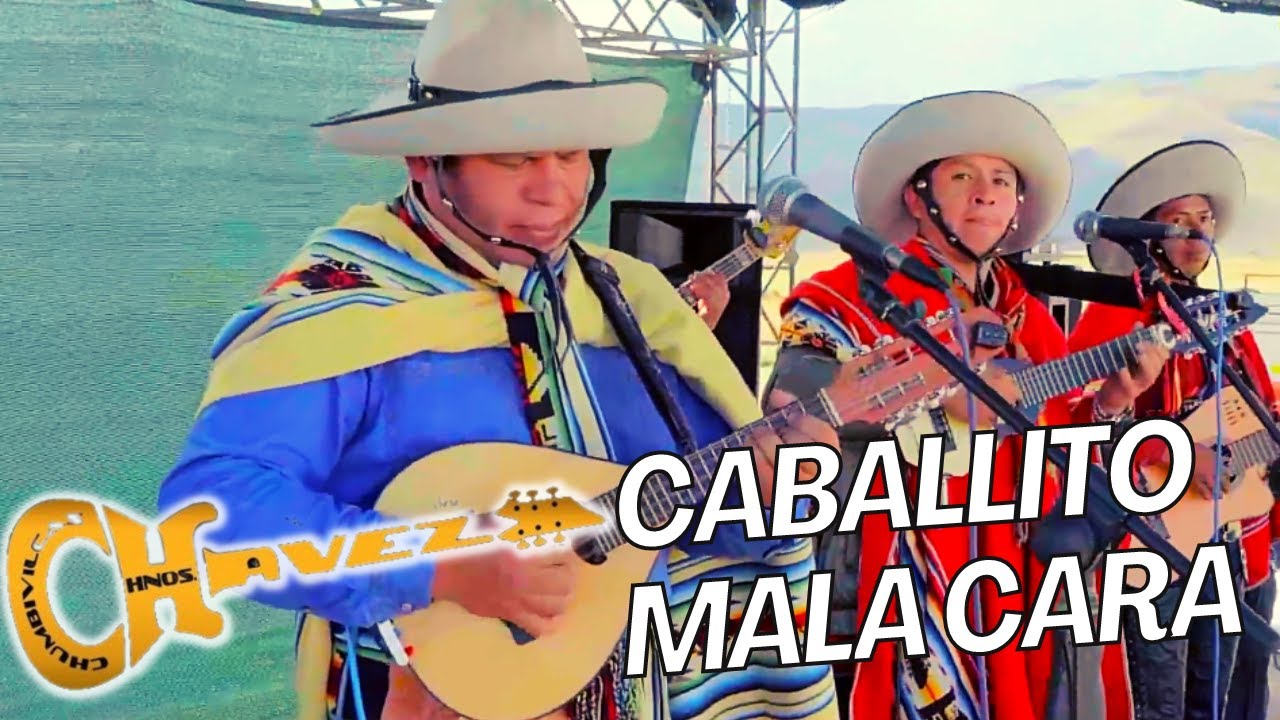 Hermanos Chávez: - CABALLITO MALA CARA │Concierto 2023 🎵🔥