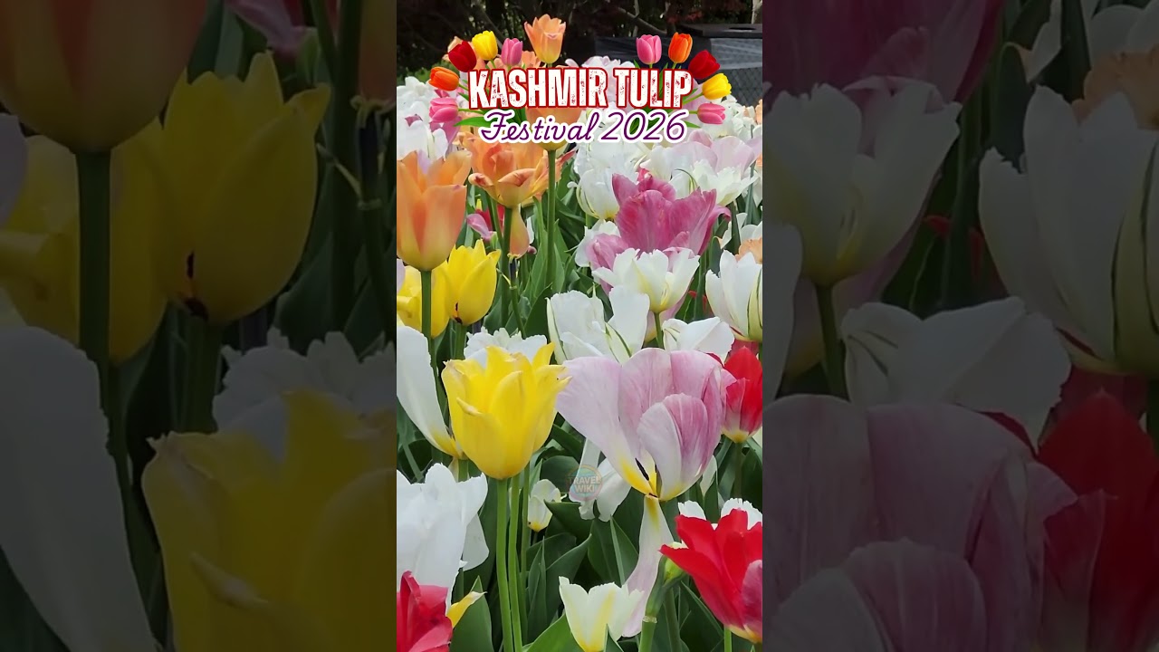 The Tulip Garden only opens for a few weeks a year, and our 4N package is the perfect way to see it.