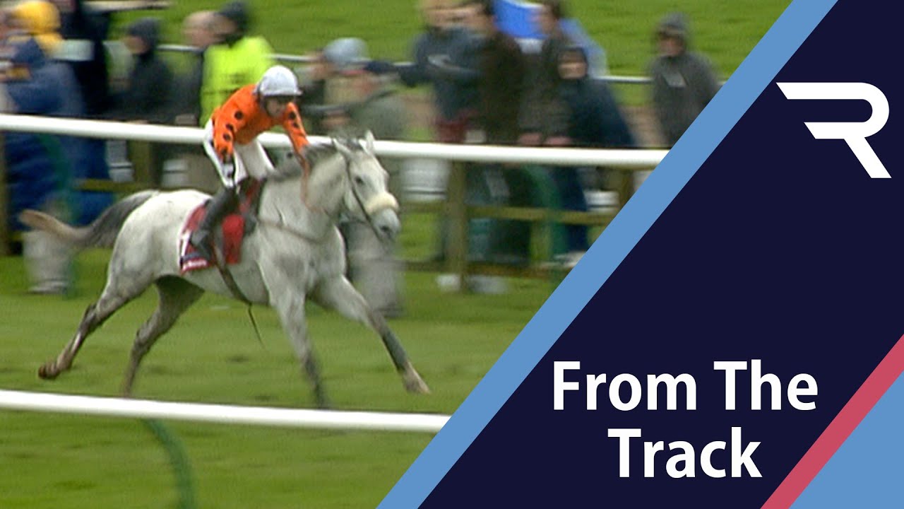 GREY ABBEY blows them away in the 2004 Scottish Grand National - A ONE-HORSE RACE, under top weight!