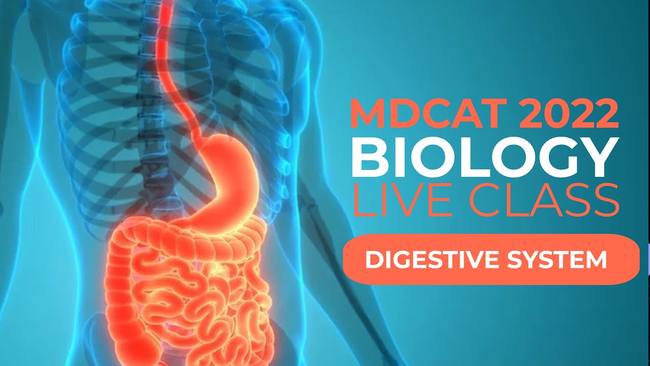 MDCAT 2022 Biology Live Class Digestive System Lecture-1 #mdcat