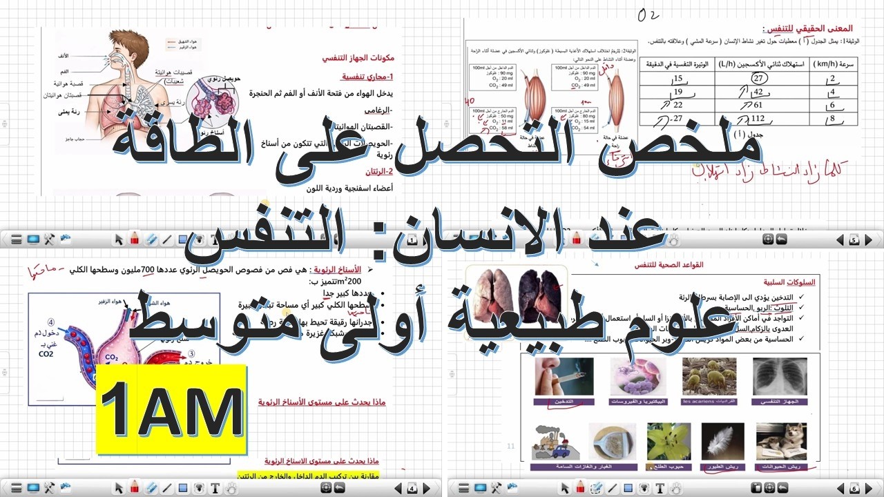 ملخص التحصل على الطاقة عند الانسان: التنفس علوم طبيعية الأولى متوسط