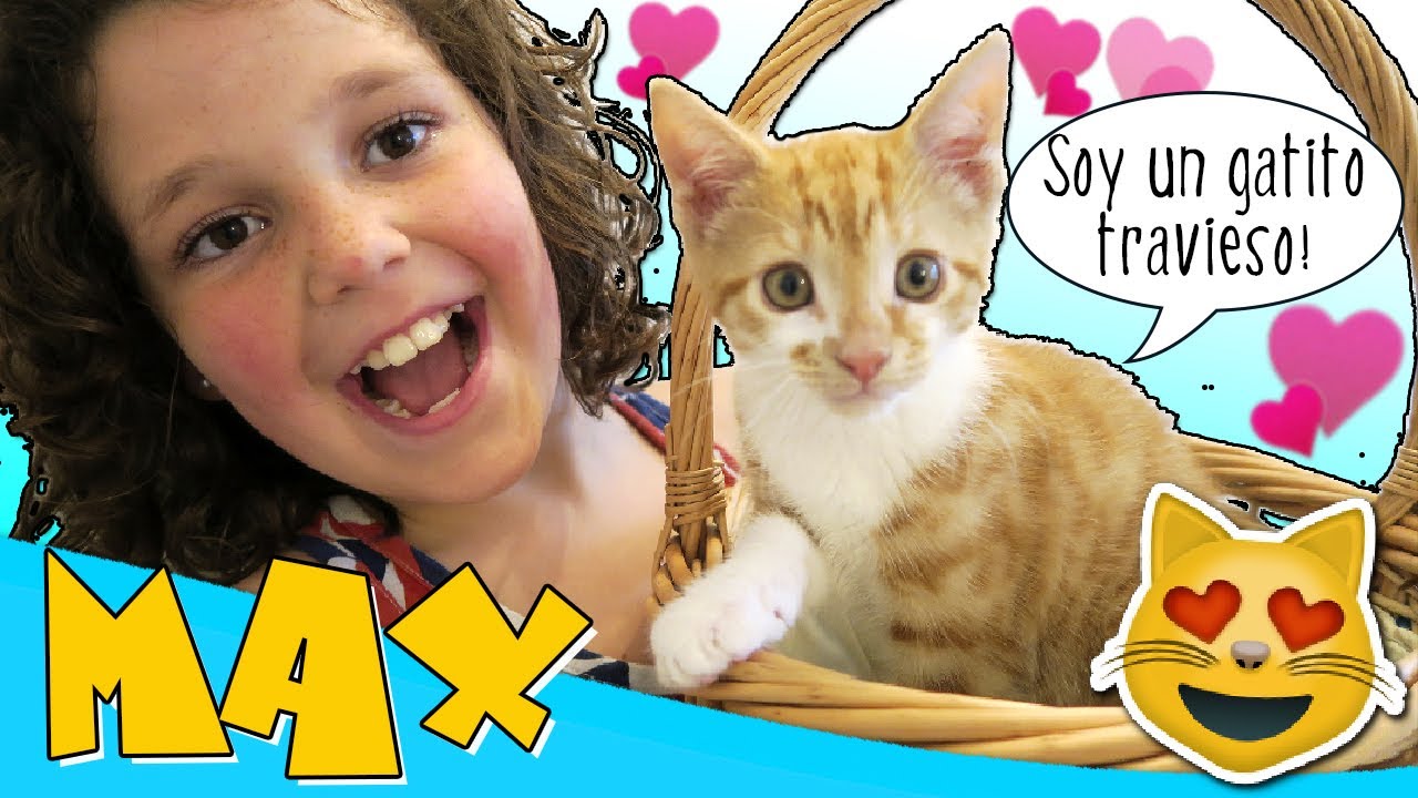 😸 ¡¡Vuelve la FELICIDAD con MAX!! 😻 💖 ¡NUESTRA REACCIÓN al conocer a nuestra NUEVA MASCOTA!
