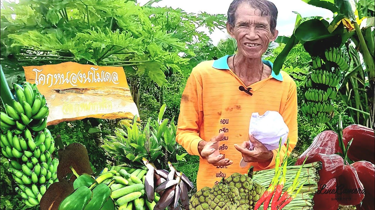 สวรรค์บนดิน||ทำเกษตรแบบคนทุนน้อย||ไม่มีหนี้มีความสุขมีกินมีแบ่งปัน#เกษตรอินทรีย์