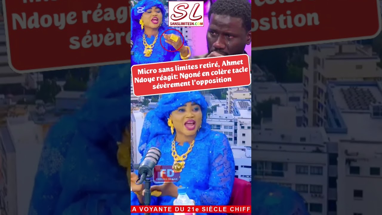 Hamet Ndoye attaque Sans limites #feelingdakartv #sonko #diaspora #politiques&eacute;n&eacute;galaise