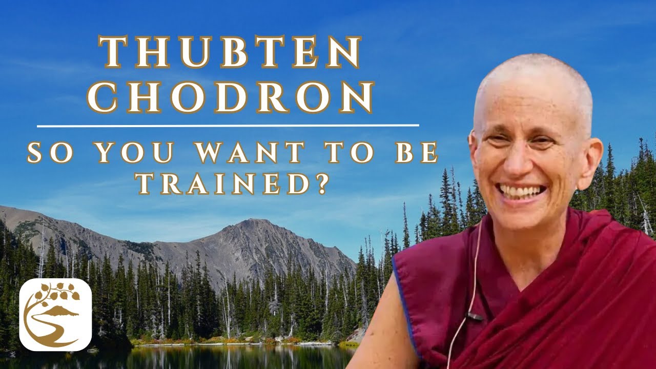 Great Vehicle Driver's Ed.: Monastic Training Tibetan Style | Thubten Chodron Q&A (5:23 pm Premier)