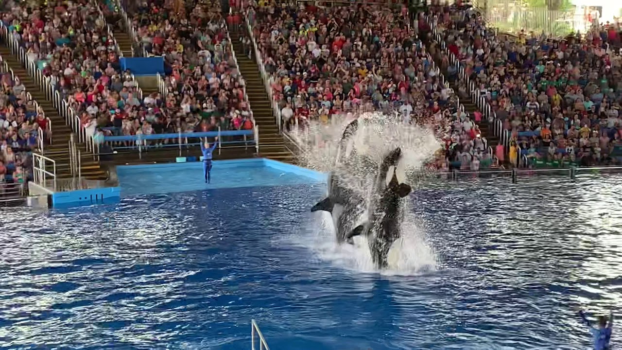 One Ocean - Sea World San Antonio HD Video (full show) 05/25/19