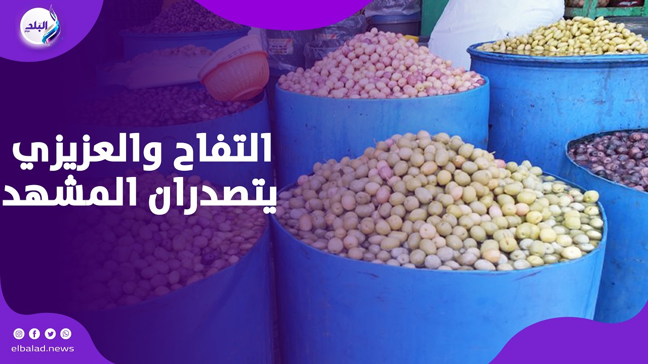 التفاح والعزيزي يتصدران المشهد.. زيتون مطروح يتزين بكل طعم ولون استعدادًا لرمضان