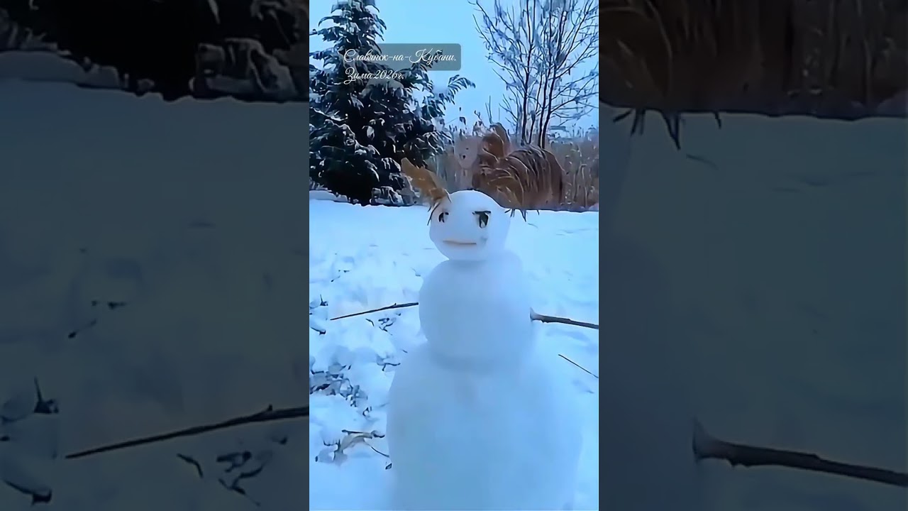 Славянск-на-Кубани. Зима 2026.