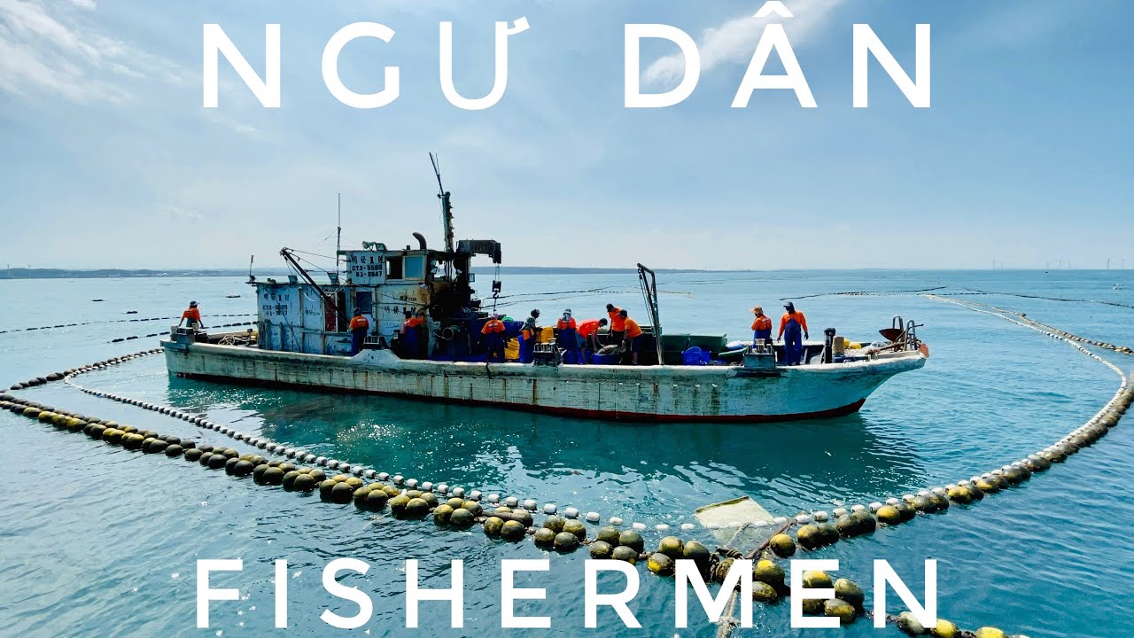 Fishing net明發定置漁場Ngư dân天然冰箱大海直送 -SEAFOOD Fixed fishing grounds Fishermen