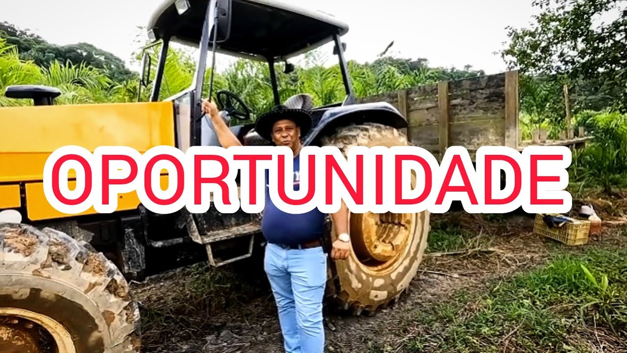 Fazenda 171 hectares, Pastagem, 140 mil Pés Pupunha, Sete Barras, SP -Vale do Ribeira Willian Ricard