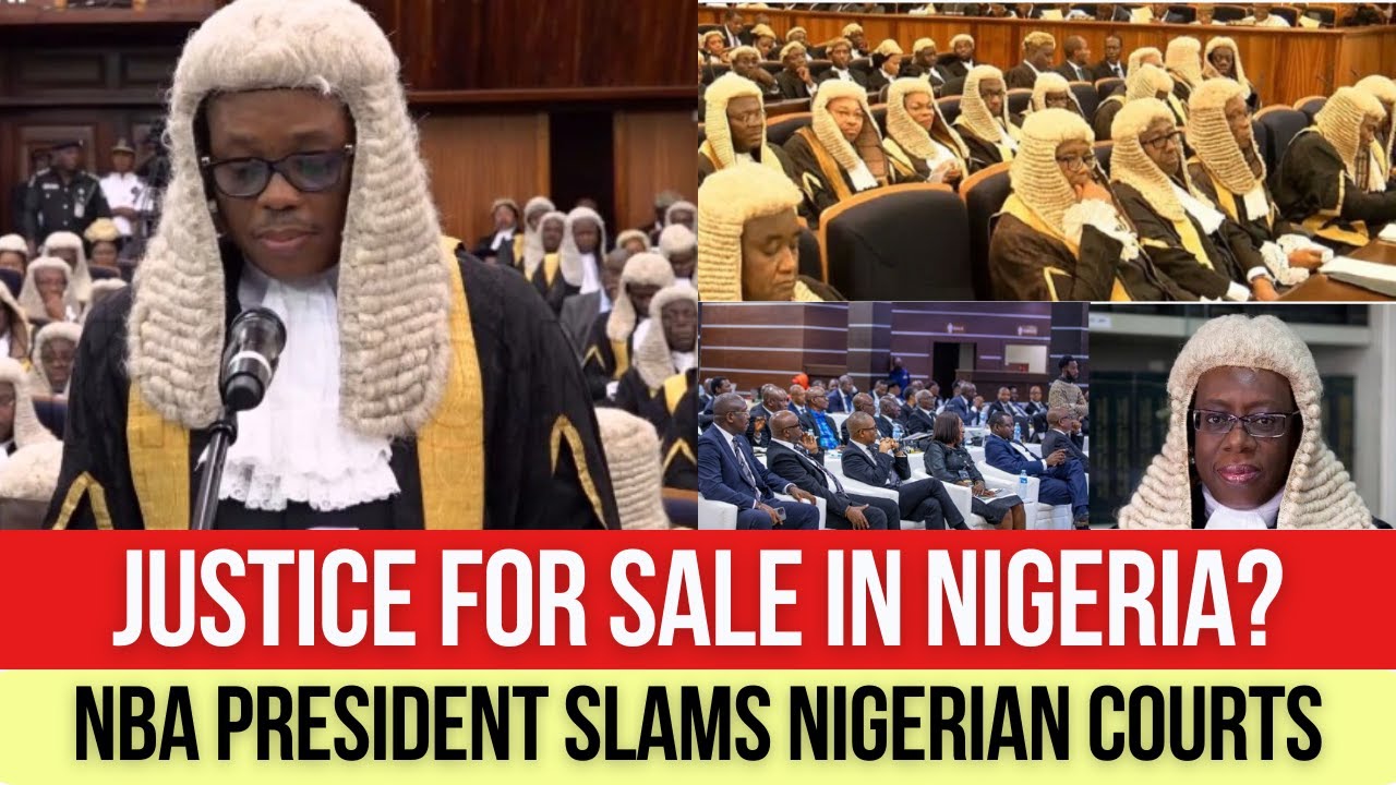 NBA PRESIDENT AFAM OSIGWE SLAMS NIGERIAN COURTS: Nigerians No Longer Trust the Judiciary