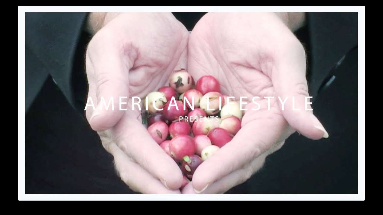 American Lifestyle TV Ep. 1 