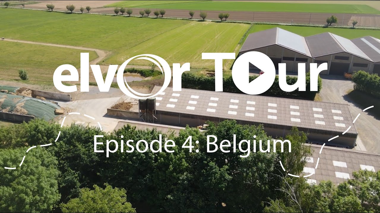 Elvor Tour: Episode 4: Belgium - Starmilk (EN subtitles)
