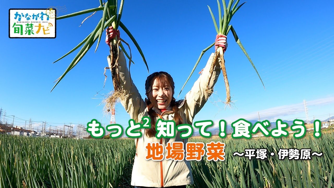 かながわ旬菜ナビ 「もっと²知って！食べよう！地場野菜～平塚・伊勢原～」 2025/12/28放送