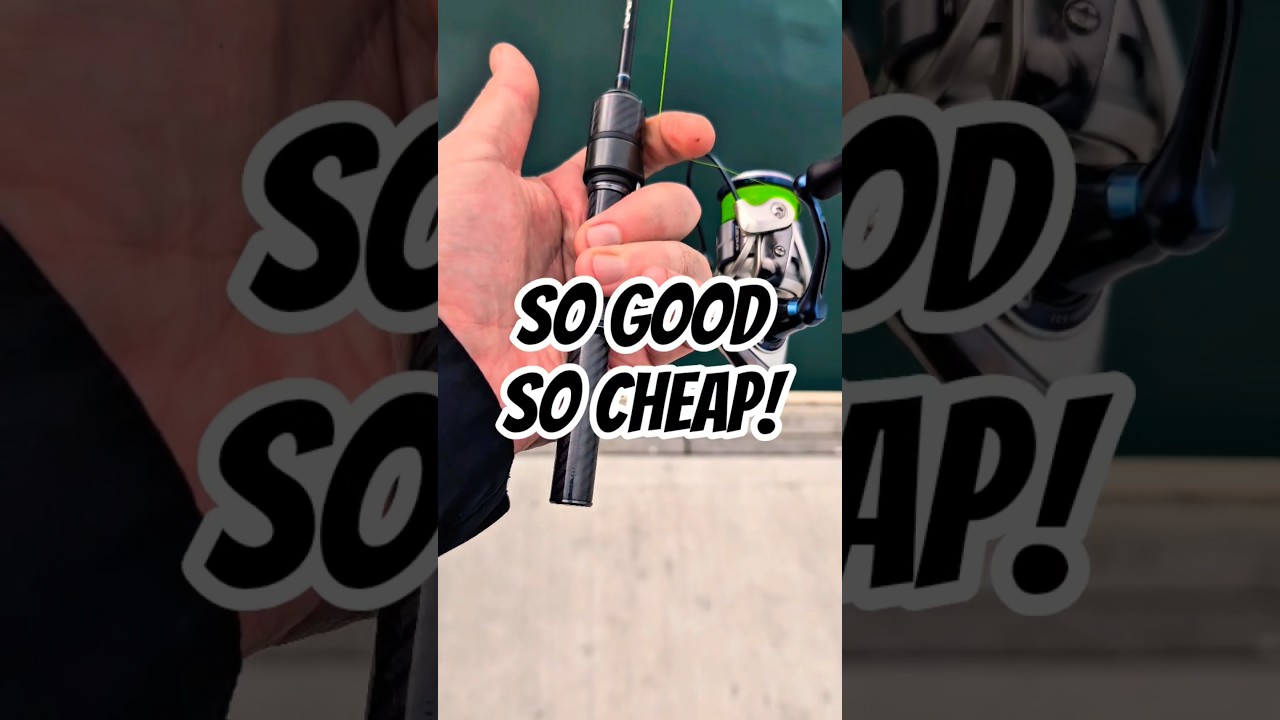 🔥 SUPER Ultralight Fishing Rod you must try!