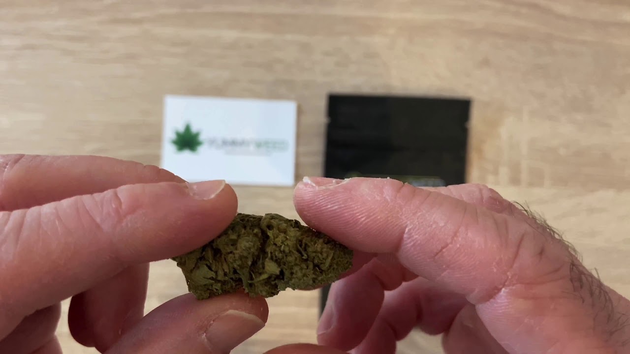 Maxi Lemon Haze CBD - Yummyweed