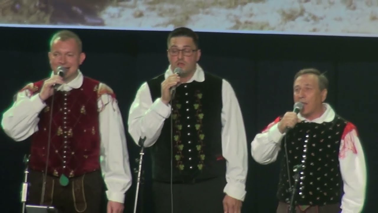 Brane Mešl s prijatelji - Selška dolina (v živo)