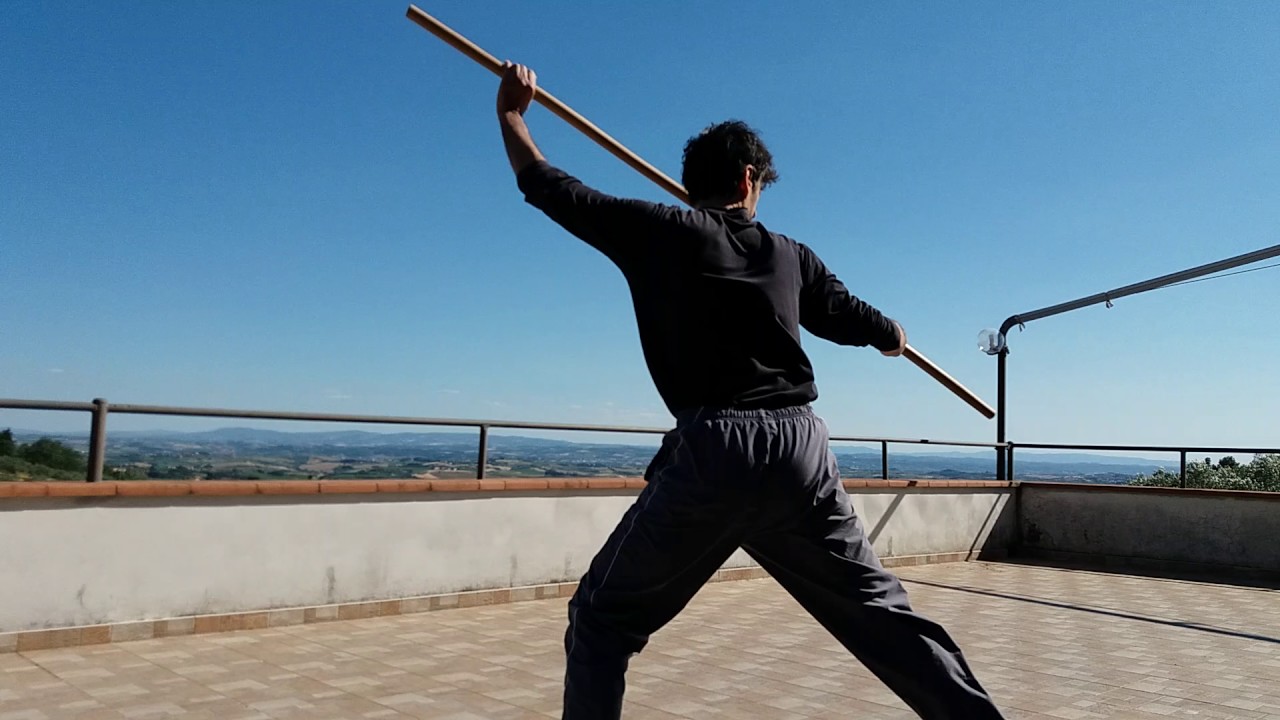 Hung Gar - Monkey King Staff