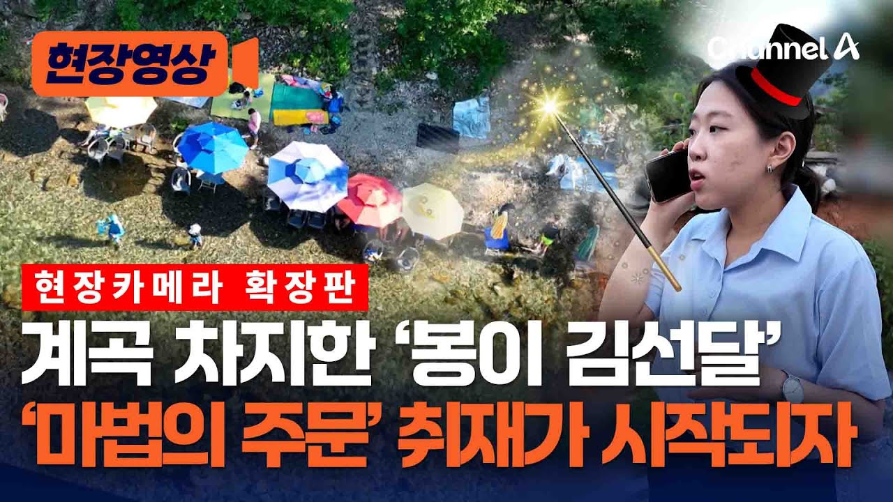 계곡 앞 펜션에서 '수문장 영업'…파라솔 대여비라며 