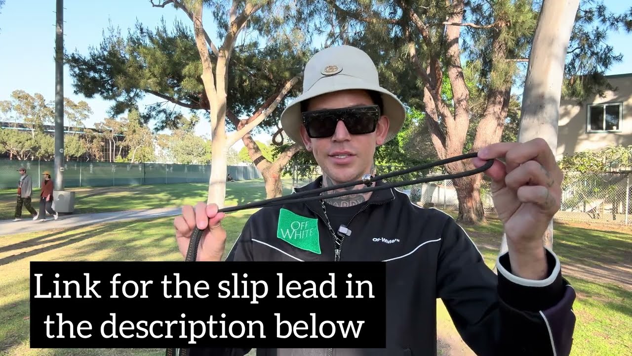 How And Why To Use A Slip Lead To Train Your Dog.
