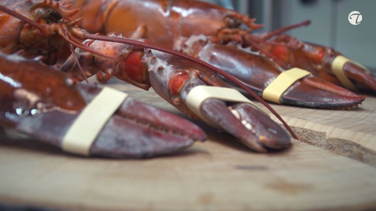 So l&ouml;st Du einen Hummer richtig aus | @TopfguckerTV #diy #hummer #lobster #cooking